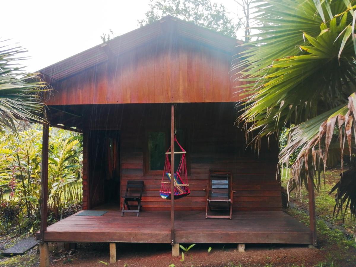 Cataratas Bijagua Lodge, Incluye Tour Autoguiado Bijagua Waterfalls Hike Buitenkant foto