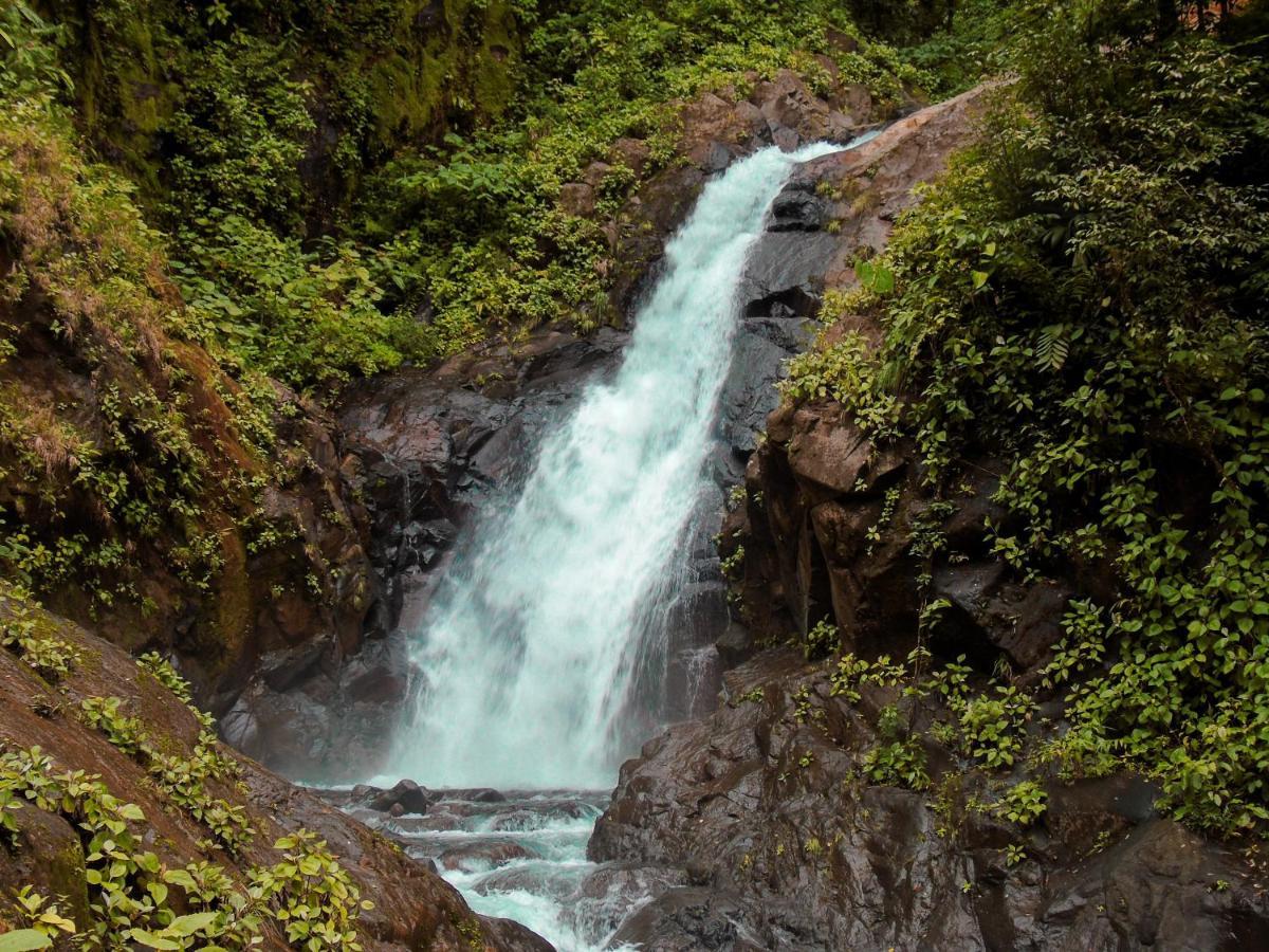 Cataratas Bijagua Lodge, Incluye Tour Autoguiado Bijagua Waterfalls Hike Buitenkant foto