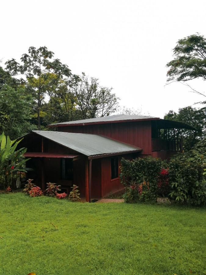 Cataratas Bijagua Lodge, Incluye Tour Autoguiado Bijagua Waterfalls Hike Buitenkant foto