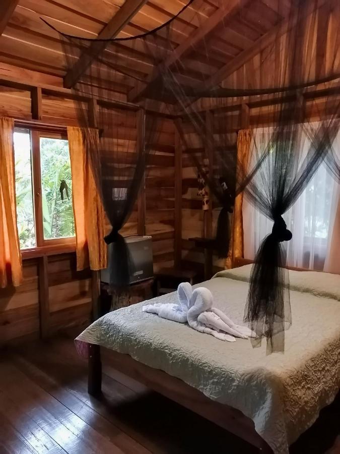 Cataratas Bijagua Lodge, Incluye Tour Autoguiado Bijagua Waterfalls Hike Buitenkant foto