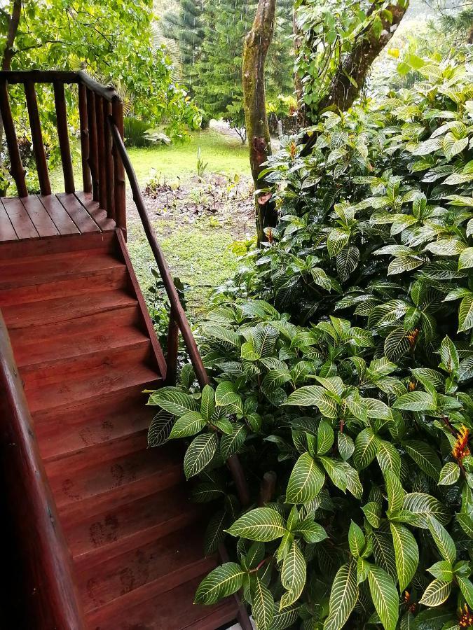 Cataratas Bijagua Lodge, Incluye Tour Autoguiado Bijagua Waterfalls Hike Buitenkant foto