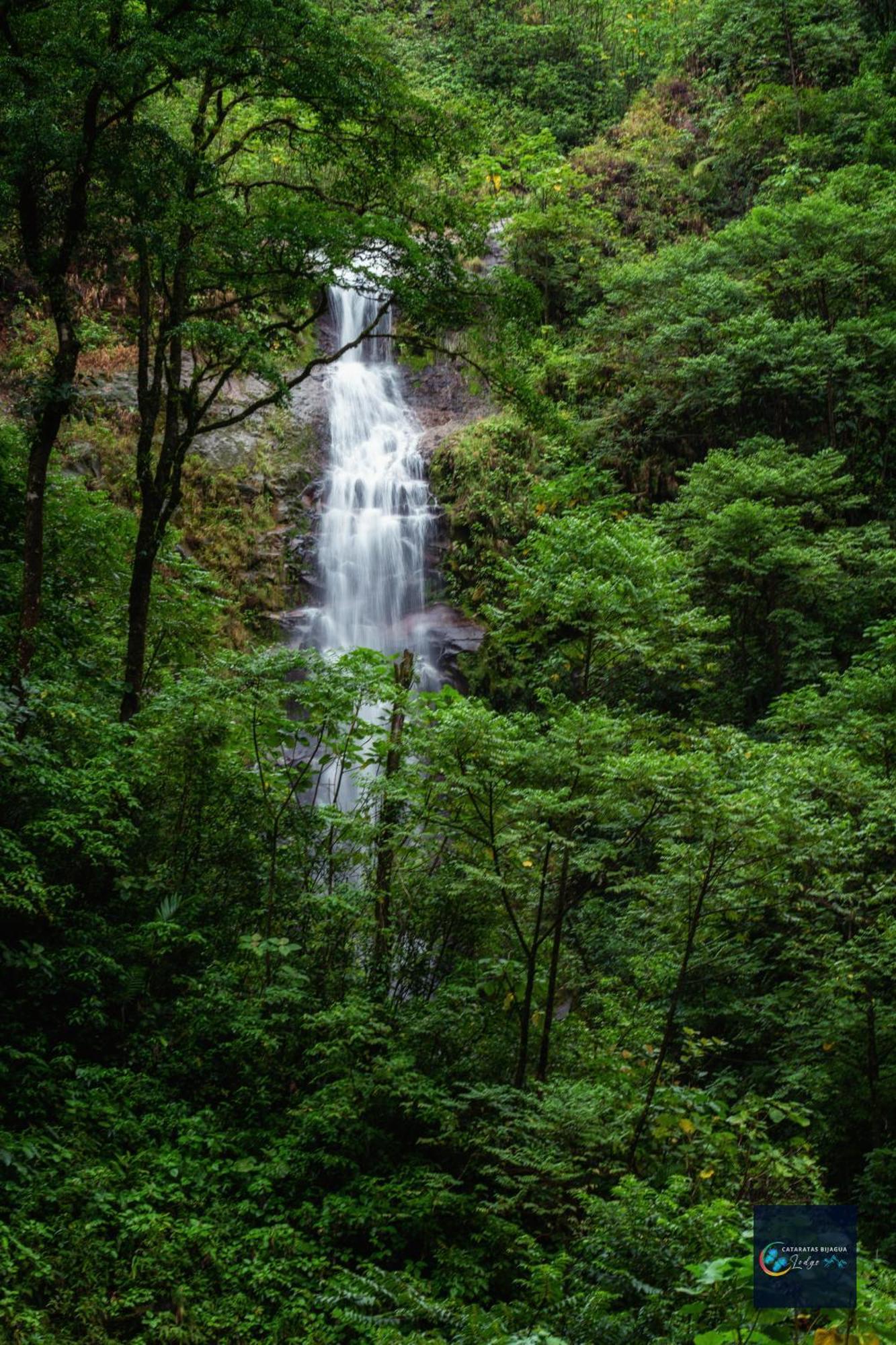 Cataratas Bijagua Lodge, Incluye Tour Autoguiado Bijagua Waterfalls Hike Buitenkant foto